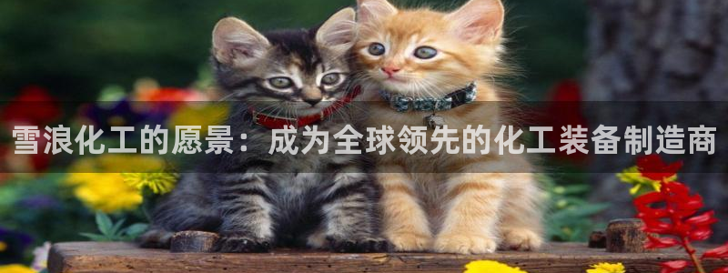 新城平台线路登录不上去怎么回事呢：雪浪化工的愿景：