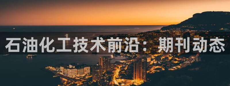 新城平台企业信息查询