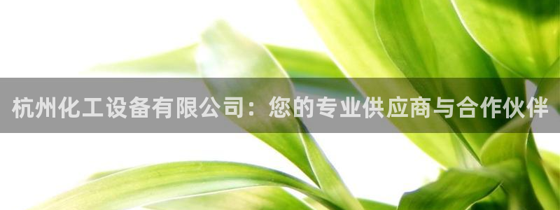 新城平台登录入口官网下载