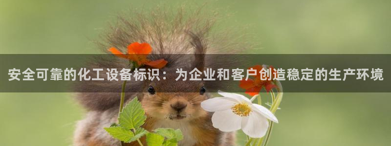 新城平台是干嘛的公司有哪些