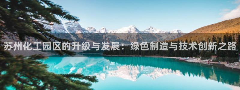 新城平台平台最新活动信息