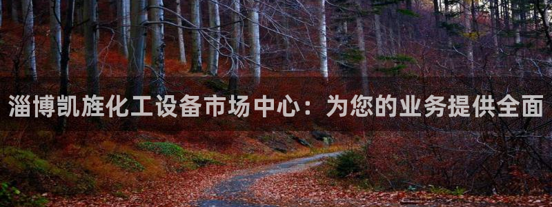 新城平台注册资金多少钱