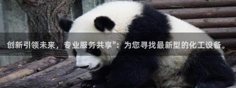 新城平台新注册：创新引领未来，专业服务共享\