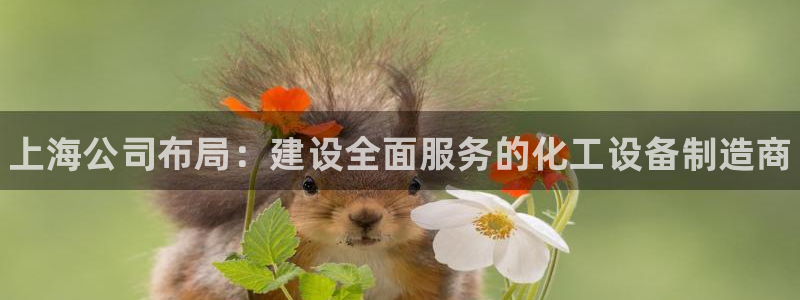 新城平台负责人